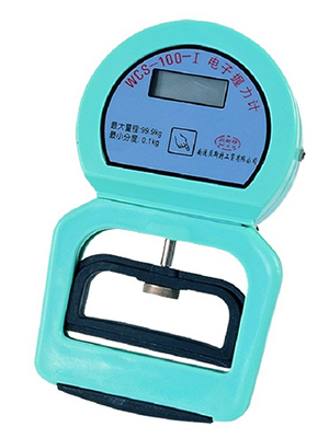 握力計（電子顯示）